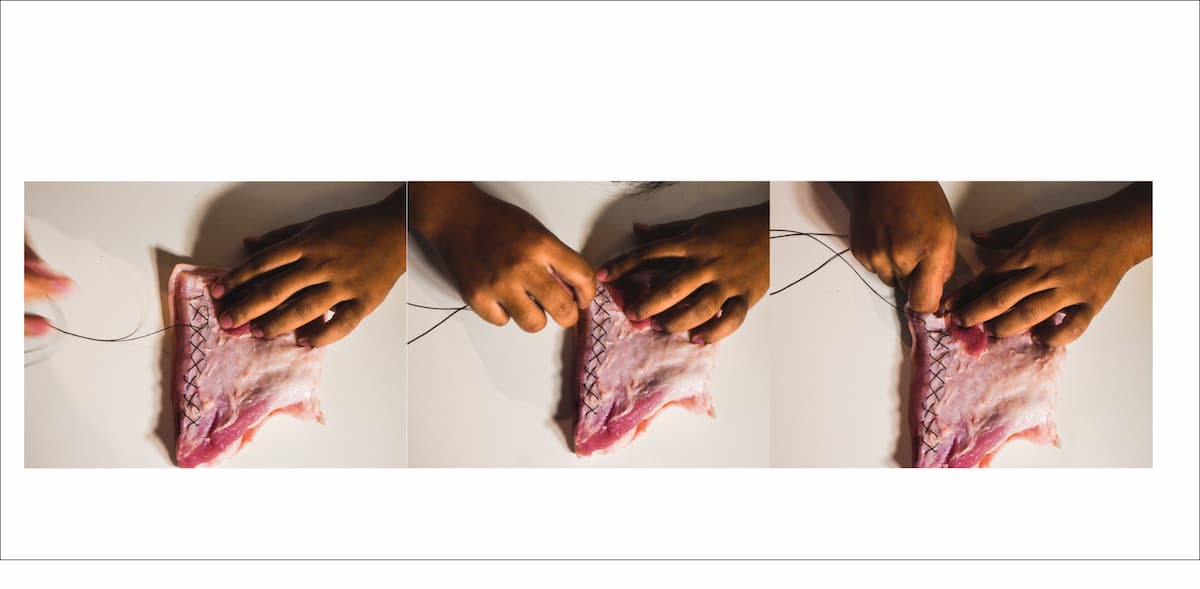 夢系列——肉